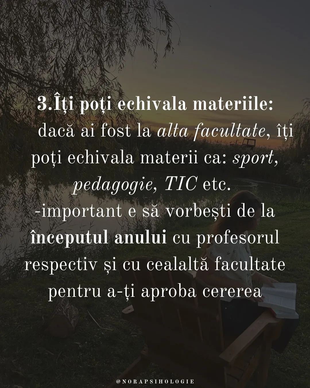 Nora citind pe un scaun de lemn lângă un lac, la apus, cu textul postării scris peste fotografii