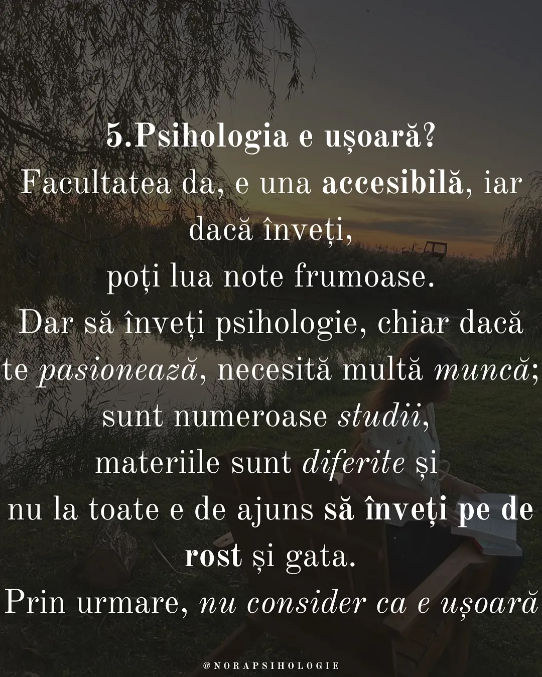 Nora citind pe un scaun de lemn lângă un lac, la apus, cu textul postării scris peste fotografii