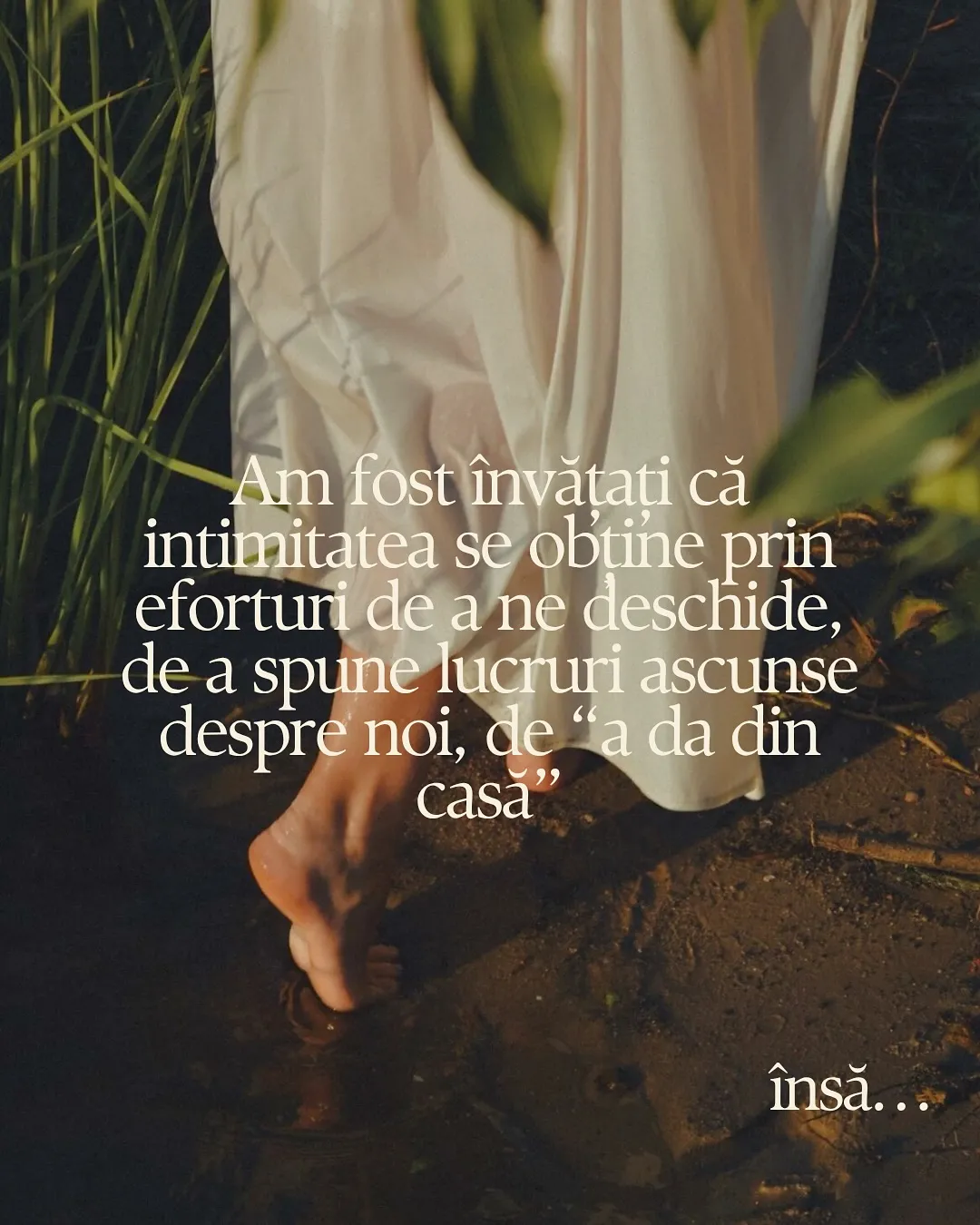 Fotografii cu pădure în lumina apusului și cu mâini care se ating, cu textul postării scris peste