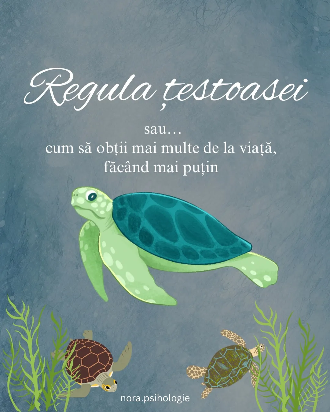 Ilustrație cu o țestoasă marină care înoată într-o apă albastră, cu textul postării scris peste