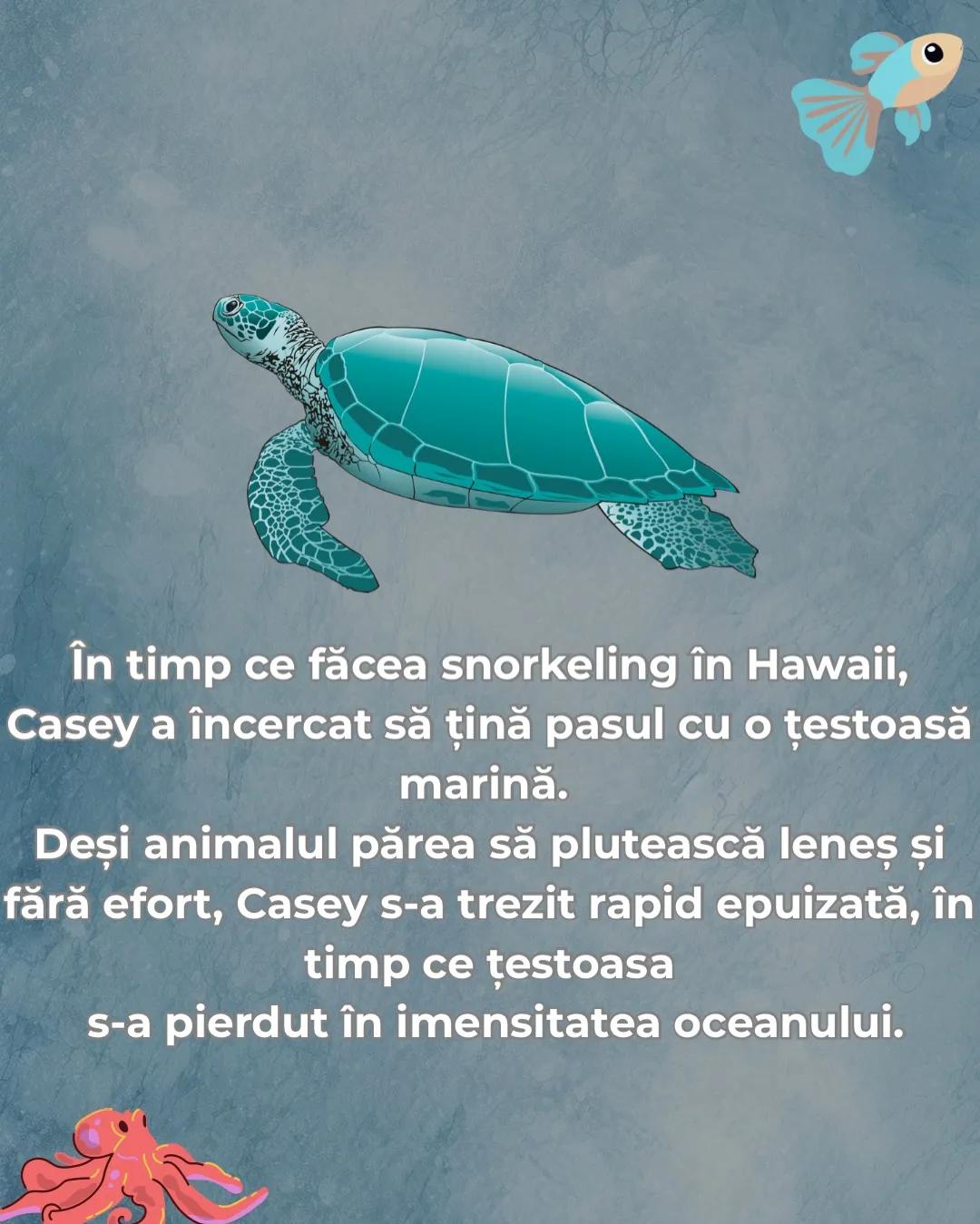 Ilustrație cu o țestoasă marină care înoată într-o apă albastră, cu textul postării scris peste