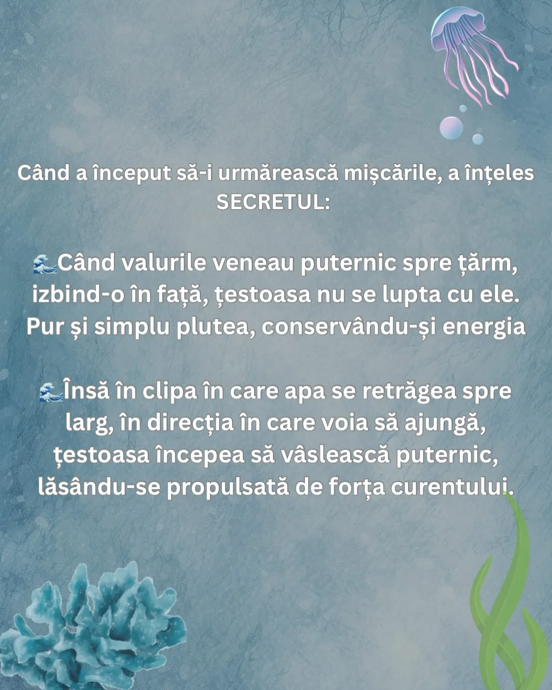 Ilustrație cu o țestoasă marină care înoată într-o apă albastră, cu textul postării scris peste