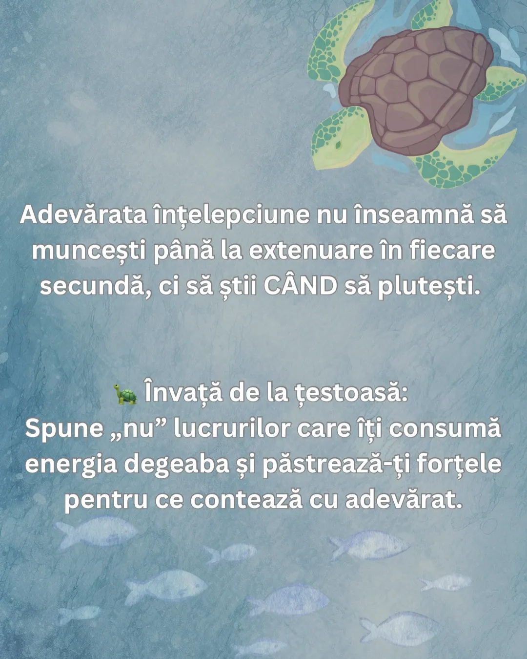 Ilustrație cu o țestoasă marină care înoată într-o apă albastră, cu textul postării scris peste
