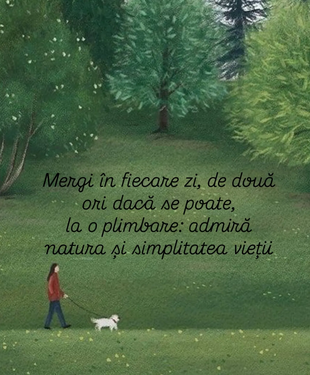 Ilustrații pictate cu câini în natură, fiecare însoțită de o lecție de viață