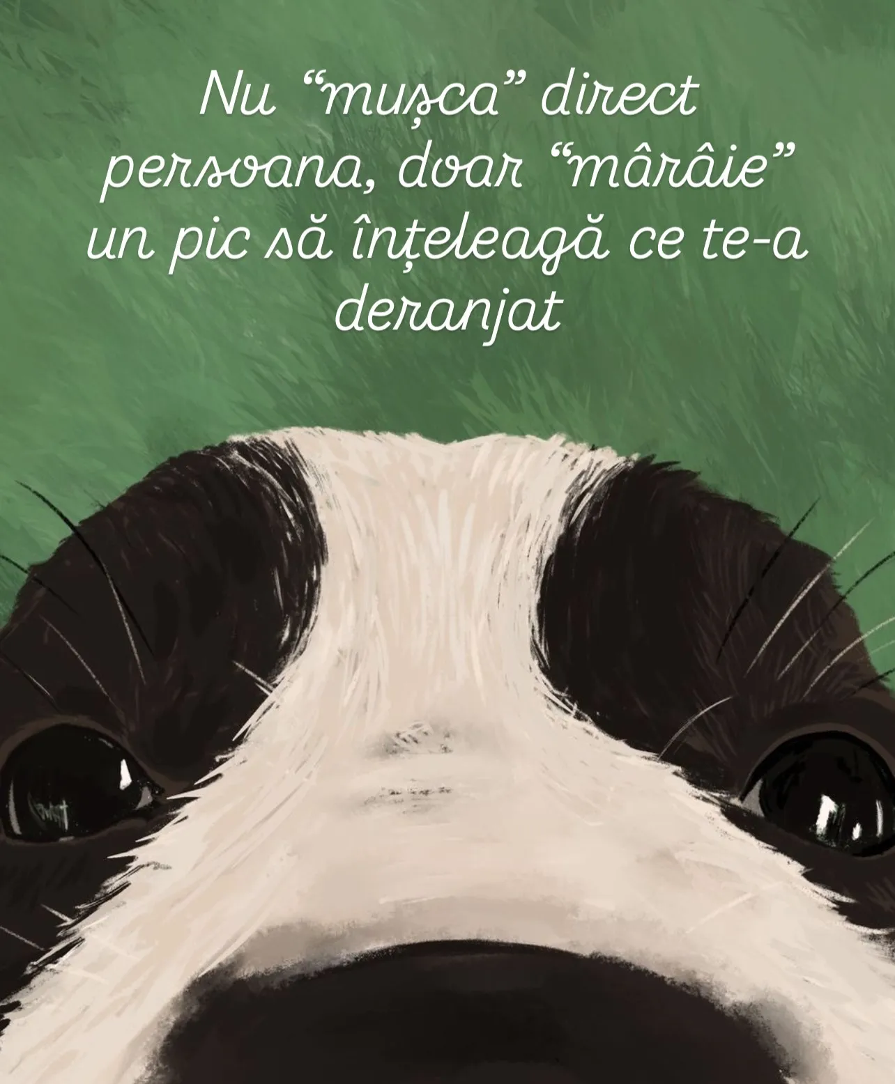 Ilustrații pictate cu câini în natură, fiecare însoțită de o lecție de viață