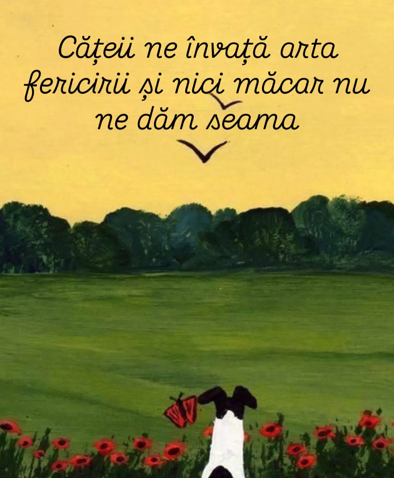 Ilustrații pictate cu câini în natură, fiecare însoțită de o lecție de viață