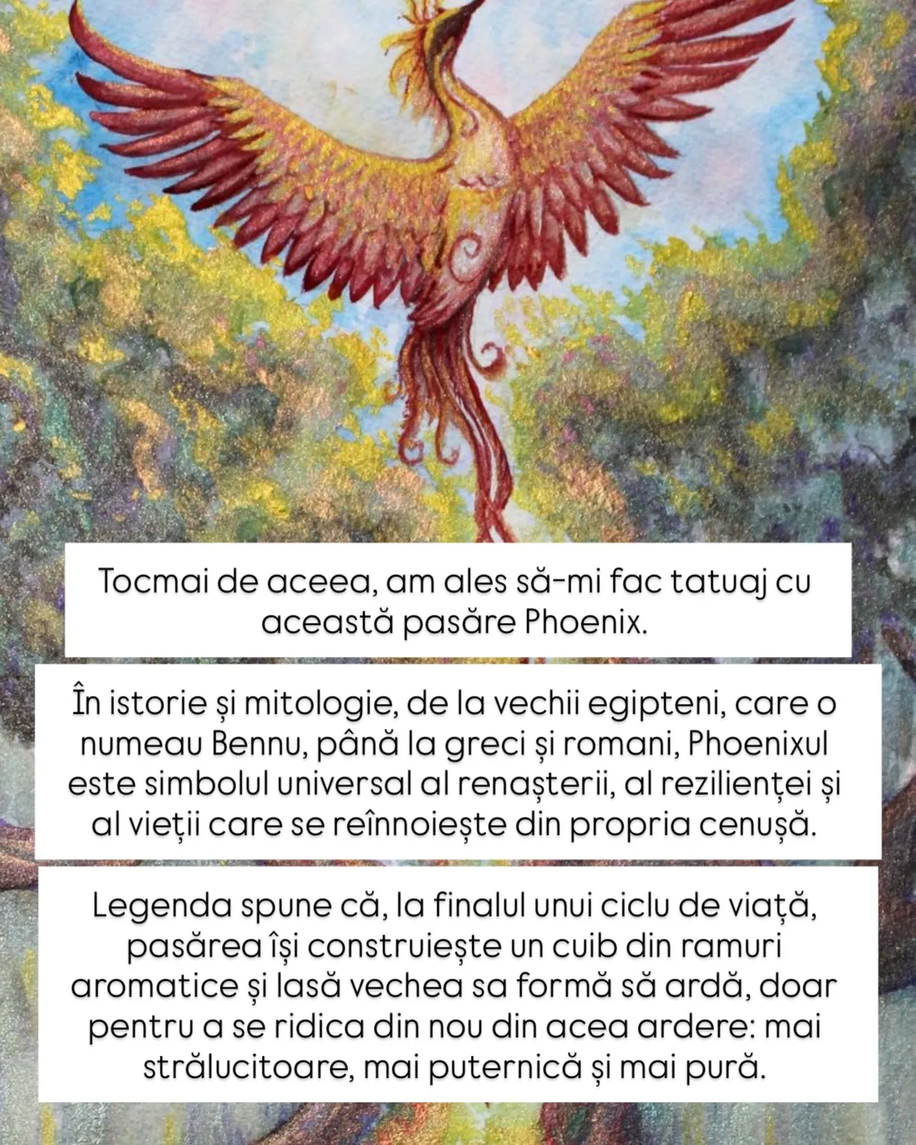 Fotografii cu tatuajul unei păsări Phoenix pe brațul Norei, alături de ilustrații cu pasărea mitologică