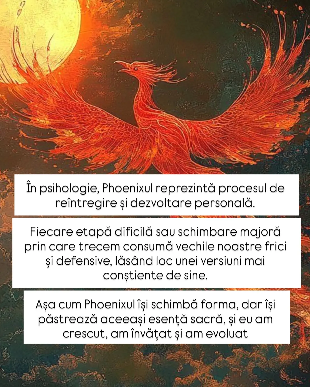 Fotografii cu tatuajul unei păsări Phoenix pe brațul Norei, alături de ilustrații cu pasărea mitologică