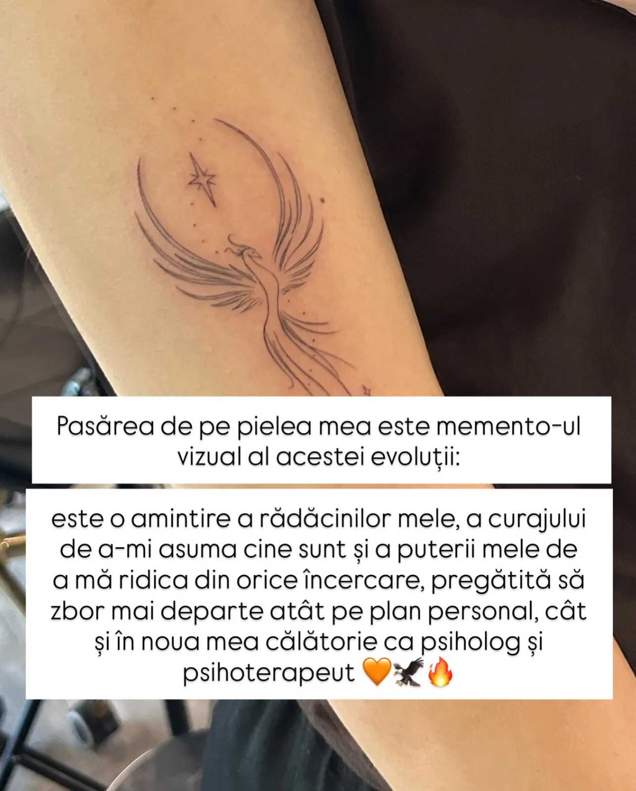 Fotografii cu tatuajul unei păsări Phoenix pe brațul Norei, alături de ilustrații cu pasărea mitologică