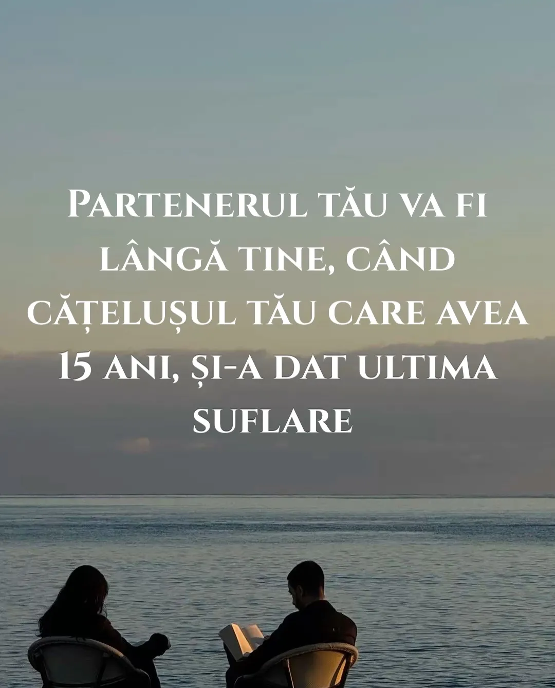 Fotografie cu doi oameni așezați pe scaune în fața mării, la apus, cu text despre cum se alege un partener