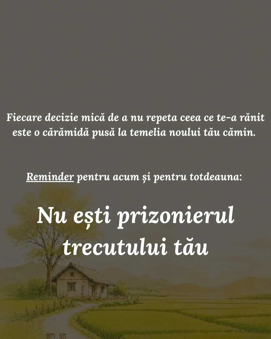 Ilustrație cu o casă mică lângă un copac, pe câmp, în lumină caldă, cu textul postării scris peste